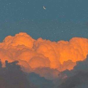 Meet your Posher, Abigail